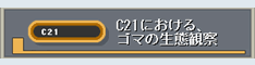 C21における、ゴマの生態観察
