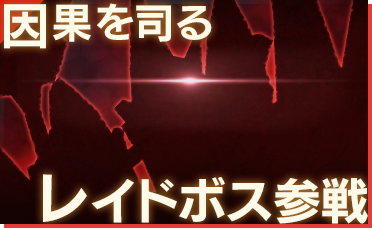 因果を司る レイドボス参戦