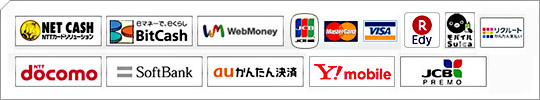 「NET CASH」「BitCash」「WebMoney」「JCB」「Master Card」「VISA」「楽天Edy」「（モバイル）Suica」「ドコモケータイ払い」「ワイモバイルまとめて支払い」「リクルートかんたん支払い」